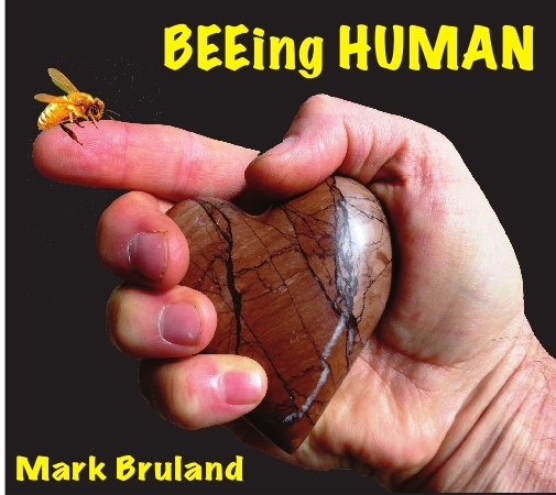 Mark Bruland